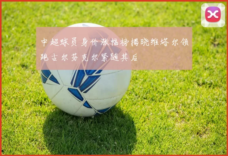 中超球员身价涨幅榜揭晓维塔尔领跑古尔芬克尔紧随其后