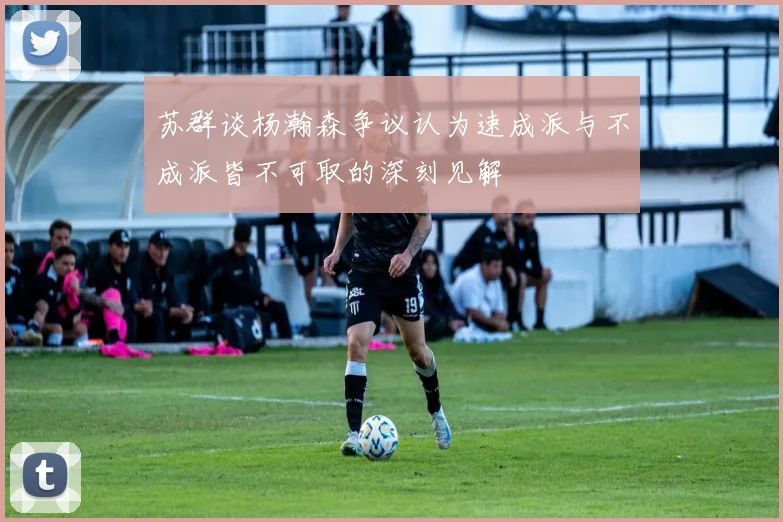 苏群谈杨瀚森争议认为速成派与不成派皆不可取的深刻见解