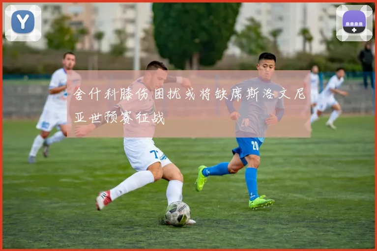 舍什科膝伤困扰或将缺席斯洛文尼亚世预赛征战