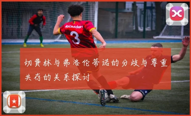 切费林与弗洛伦蒂诺的分歧与尊重共存的关系探讨